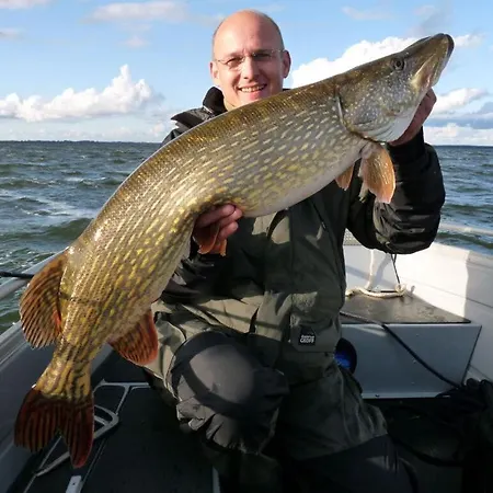 Blockhaus Fleesensee Apartment *