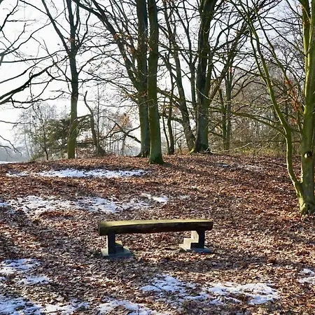 Blockhaus Fleesensee